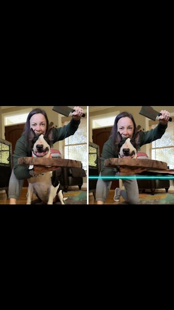 Pup hilariously takes part in spooky Halloween video filter