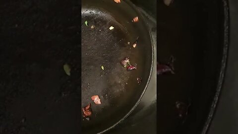 8 steps to a nice and tight little burrito🌯🇲🇽😋 #shorts