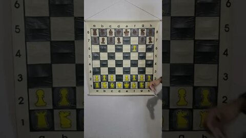 What is the Soller Gambit in Chess?