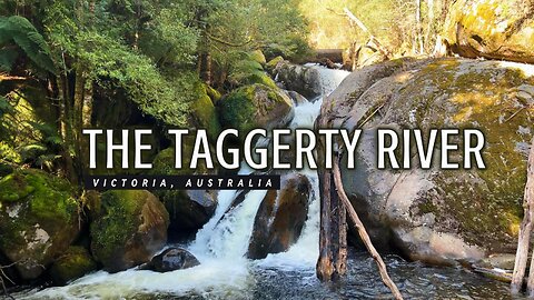 The Taggerty River - Victoria Australia