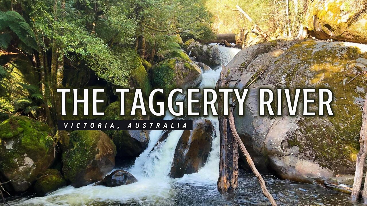 The Taggerty River - Victoria Australia