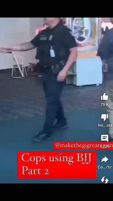 Awesome BJJ Execution