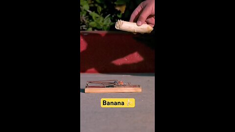 watch til end