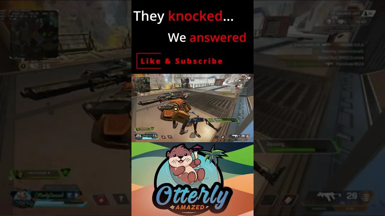 Who's there...