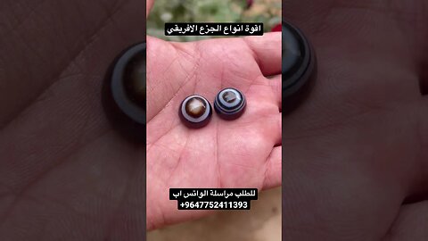 جزع افريقي