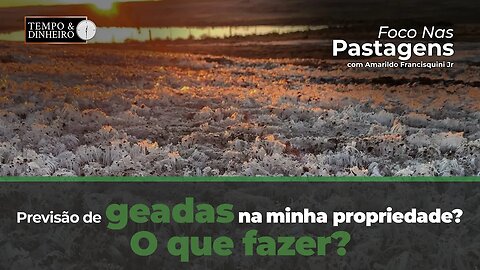 Foco nas Pastagens : o que fazer com a previsão de geadas na minha propriedade?