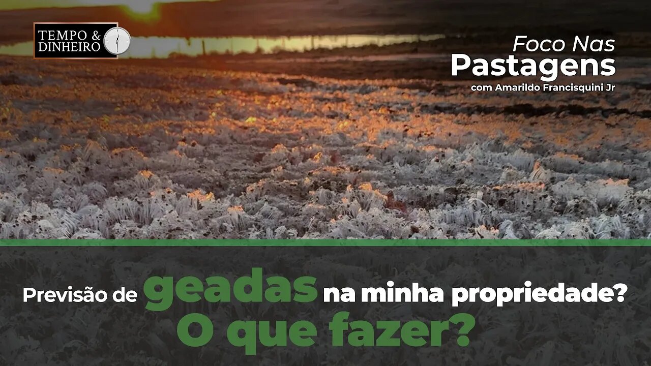 Foco nas Pastagens : o que fazer com a previsão de geadas na minha propriedade?