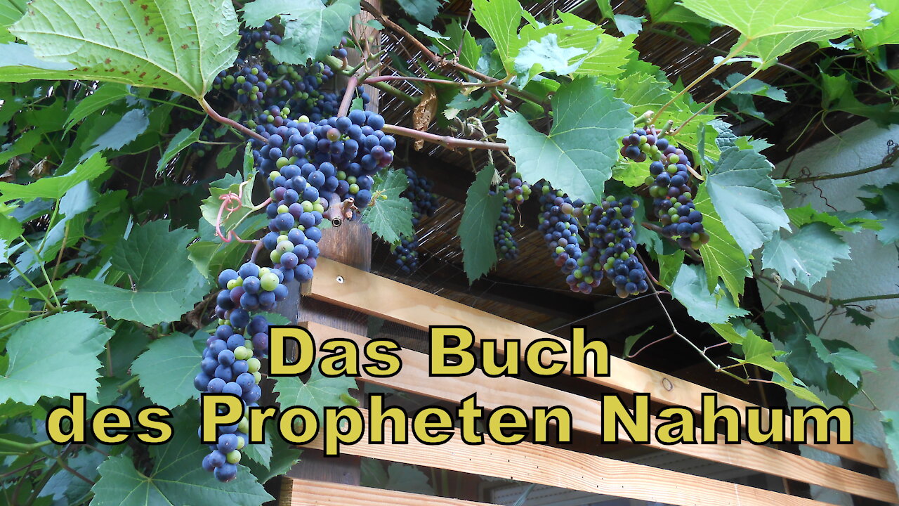 Rache - Das Buch des Propheten Nahum