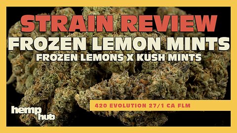 Strain Review - FROZEN LEMON MINTS