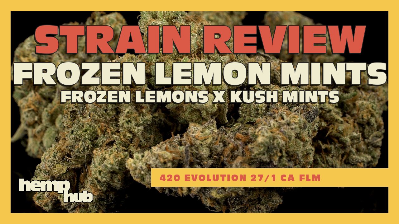 Strain Review - FROZEN LEMON MINTS