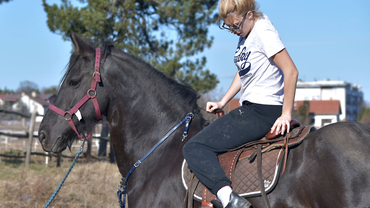 How to saddle a horse 🐎🏇