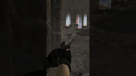 Don't forget to shoot the birds!