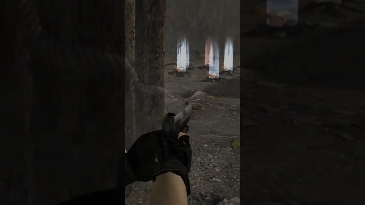 Don't forget to shoot the birds!