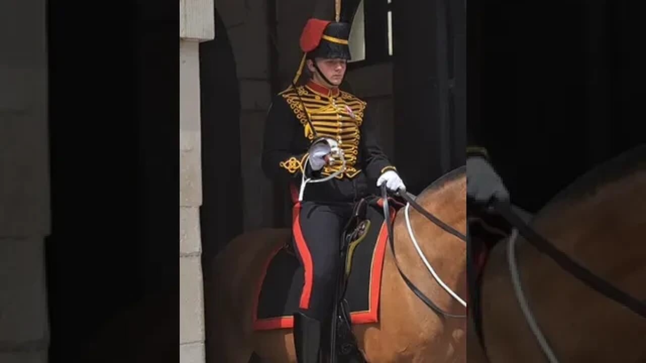 It's not Disney land dont touch #horseguardsparade