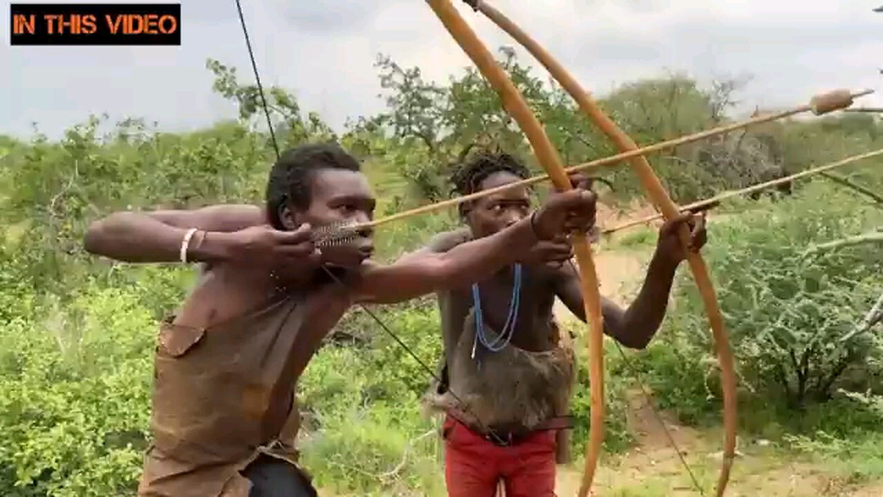 The Remarkable life of the hadzabe tribe/ Hunting and cooking