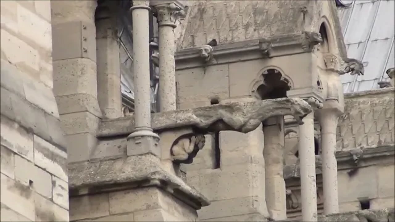 Cathédrale Notre-Dame de Paris