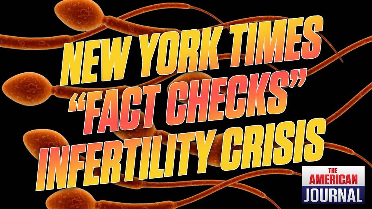 The Fertility Crisis Doesn't Add Up According To New York Times