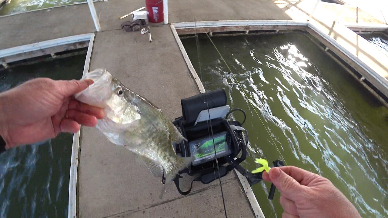 Crappie On Almost Every Cast Using The Panoptix Livescope