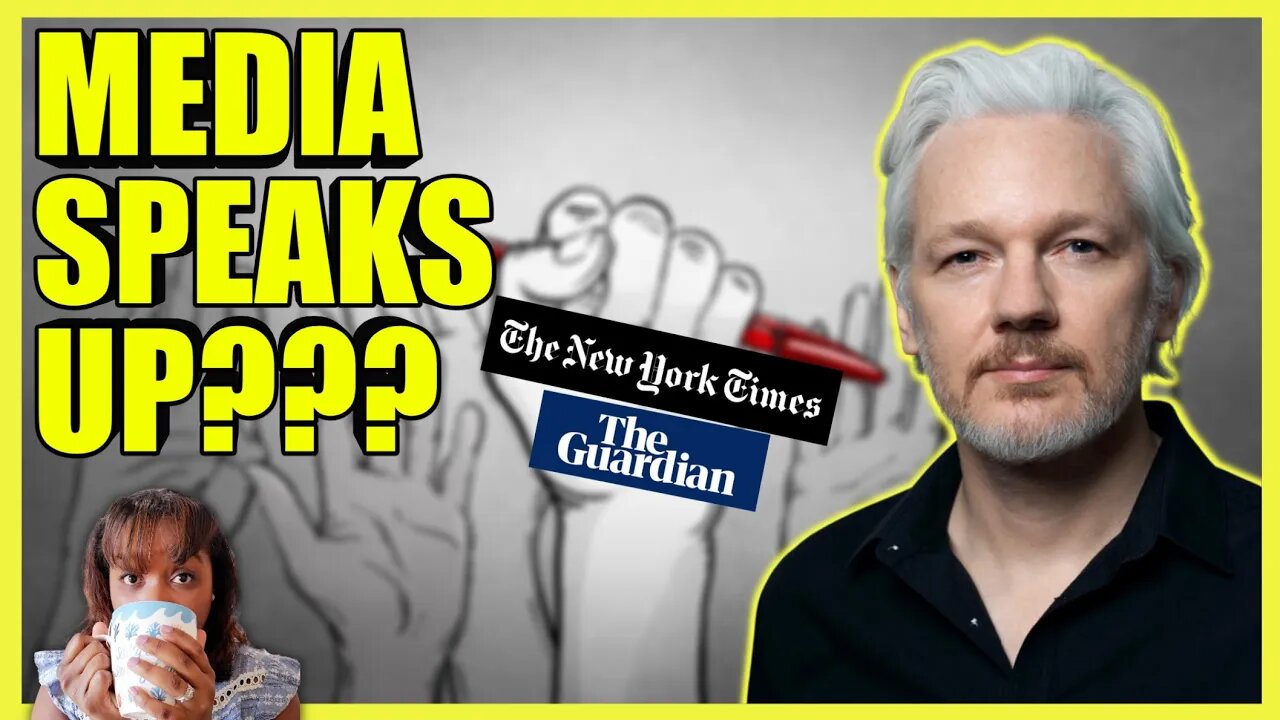 Corporate Media SUPPORTING Assange? (clip)