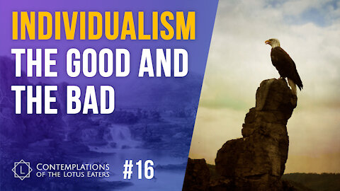 Contemplations #16 | Is Too Much Individualism Bad?