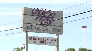 Experts say if malls want to survive, they must evolve