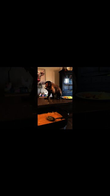 Sometimes I just like a little gravy with dinner moms washing dishes don’t worry #Shorts