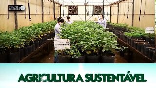 Agricultura Sustentável - com Frederico Olivi