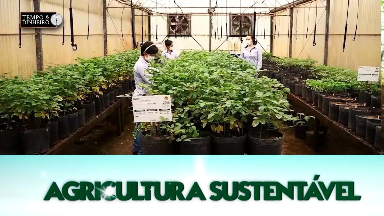 Agricultura Sustentável - com Frederico Olivi