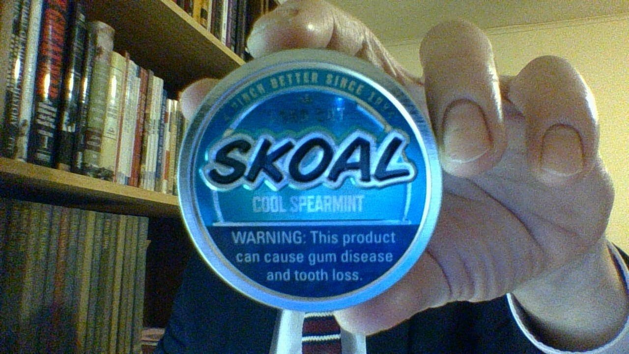 The Skoal *Cool* Spearmint Review