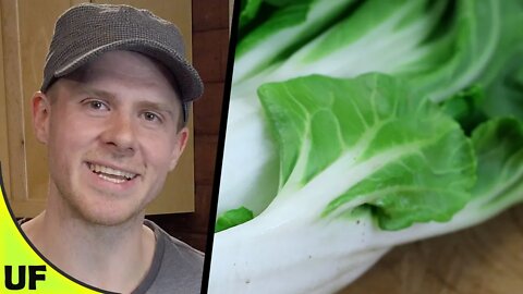 Bok Choy Taste Test | Unusual Foods