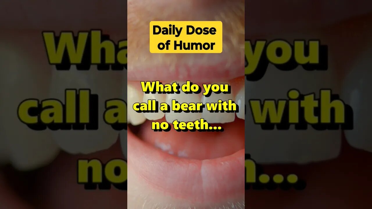 "What do you call a bear with no teeth..." #shorts #Funny #Subscribe