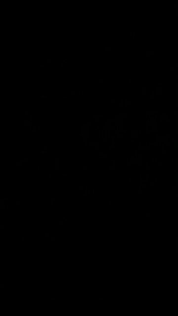 Private central bank