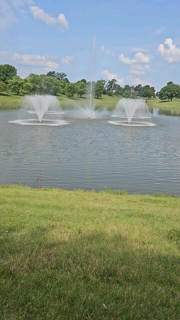 My Peaceful Place - The Seen and the Unseen