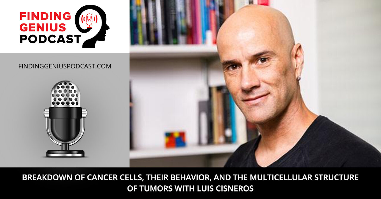 Breakdown of Cancer Cells, Their Behavior, and the Multicellular Structure of Tumors