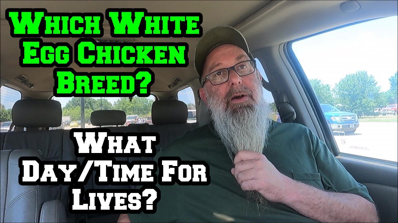 Someday, I Might Do More Stuff | Weekly Dinner And A Live?| More Chicken Breeds? homestead Arkansas