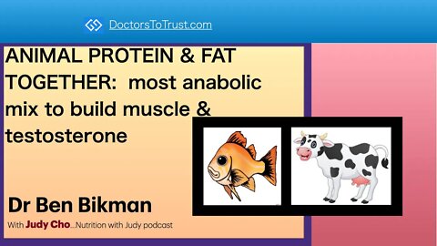 ANIMAL PROTEIN & FAT TOGETHER: most anabolic mix to build muscle & testosterone