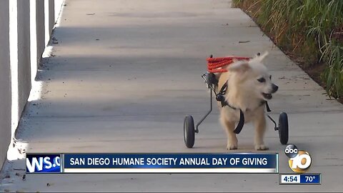 Company picked for MV stadium site/SD Humane Society Day of Giving