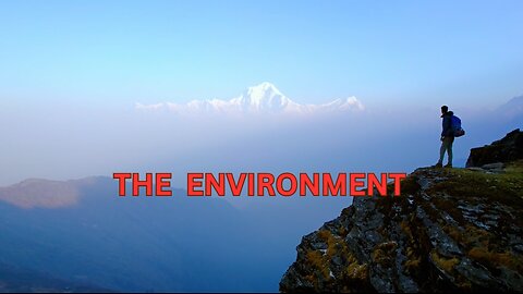 The Environment in the Holy Quran