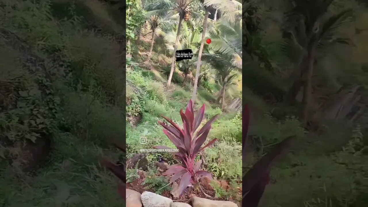 Cabo de rama Fort Goa #travel #goa #caboderama #trending #shorts