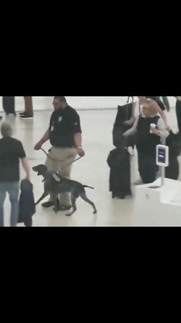 Hopefully this TSA agent was fired after this