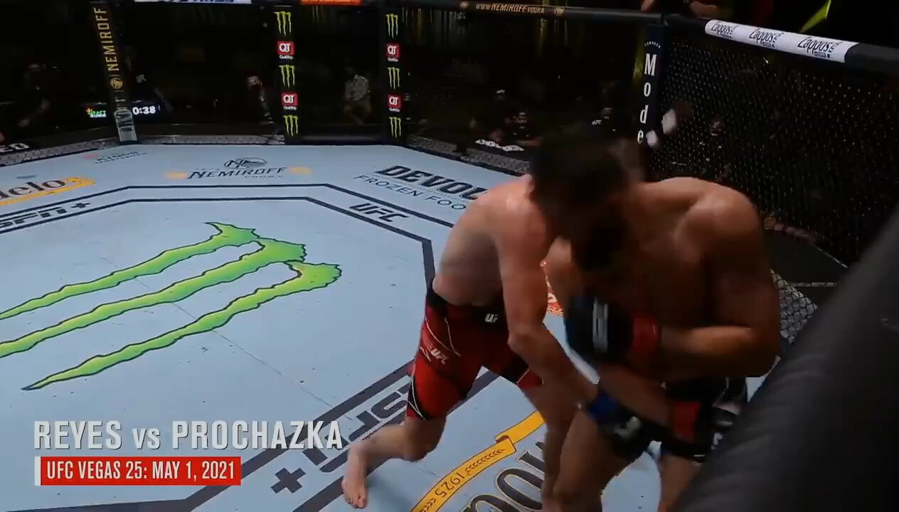 The brutal knockout in UFC .