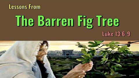 The Barren Fig Tree
