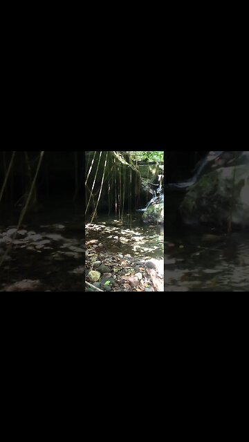 You’ll never guess where this heavenly secret hideaway is! 🗿 #shorts