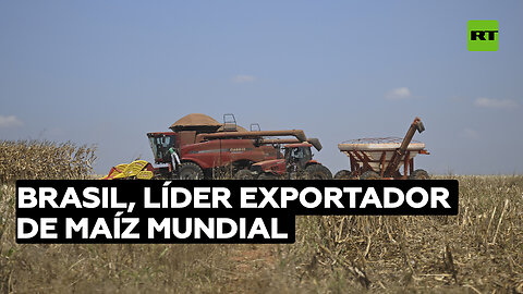 Brasil supera a EE.UU. y se convierte en el mayor exportador de maíz