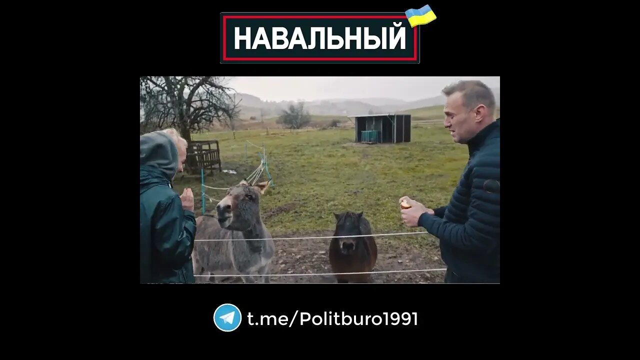 Navalny 🇺🇦 2022 ❕❗❕ #Shorts #Navalny #Навальный #Украина #Зеленский Часть 0039