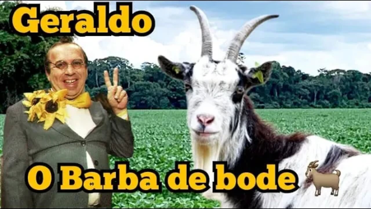 Escolinha do Professor Raimundo; Geraldo, o barba de bode 🐐