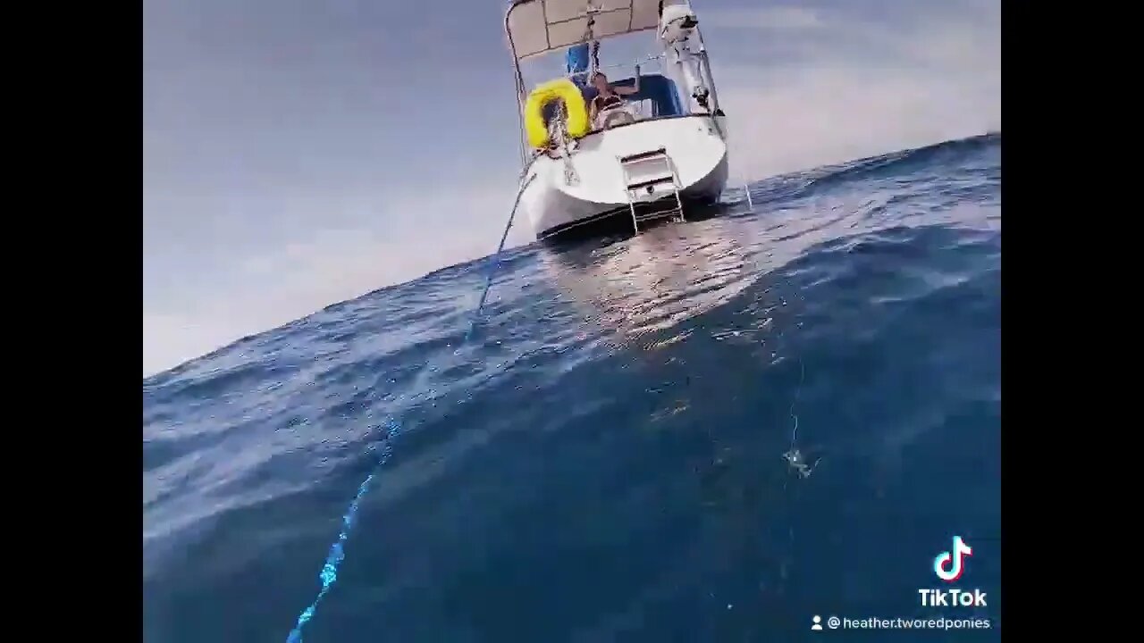 Still my favorite sail