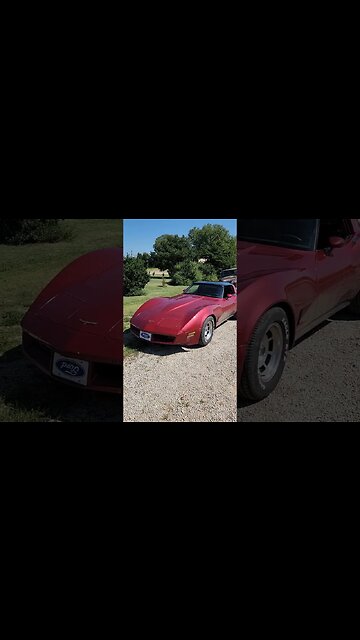 Ford is in Distress! #ford #mache #mustang #corvette #brotherhood