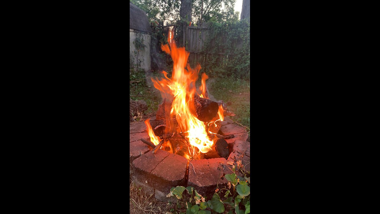 Fire nature cicadas Alabama