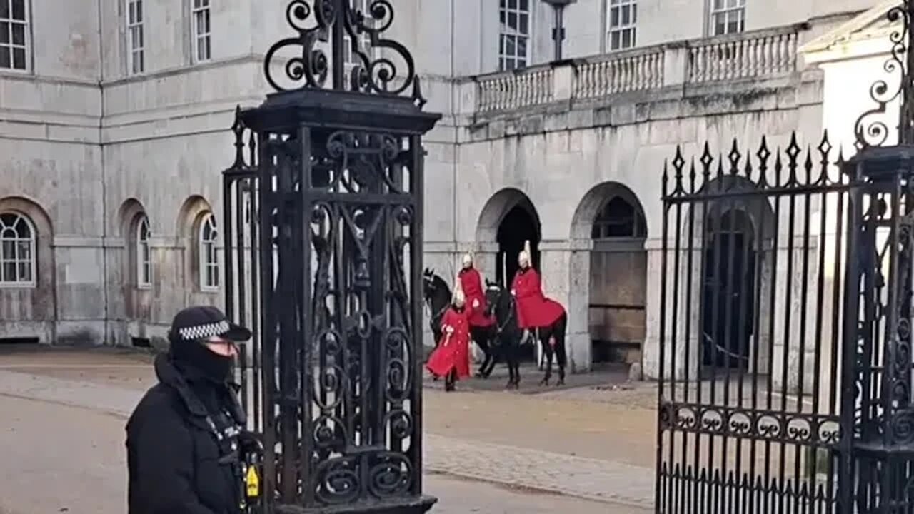 Dancing horse #thekingsguard